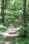 gal/GP_VTT_Hettange_2_juillet_2006/_thb_GP HETTANGE VTT 2006 174.jpg